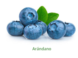 ARANDANO ENTERO  X 10 KLS