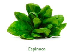 ESPINACA CAJA X 10 KLS
