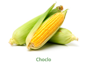 CHOCLO EN GRANO
