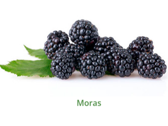 MORA ENTERO X 10 KLS