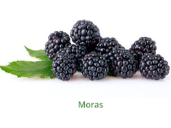 MORA ENTERO  X 10 KLS