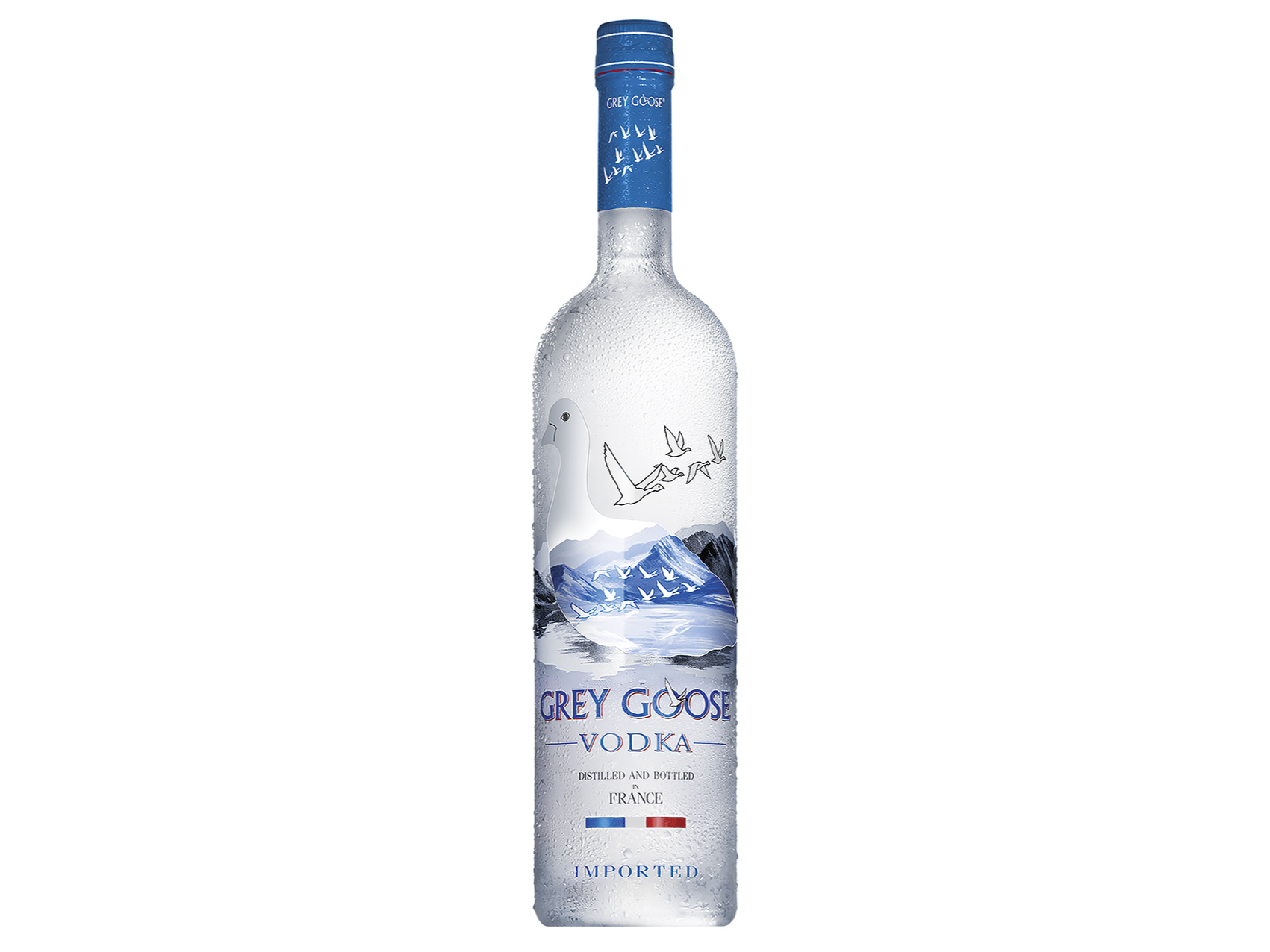 Grey Goose x 750 ml