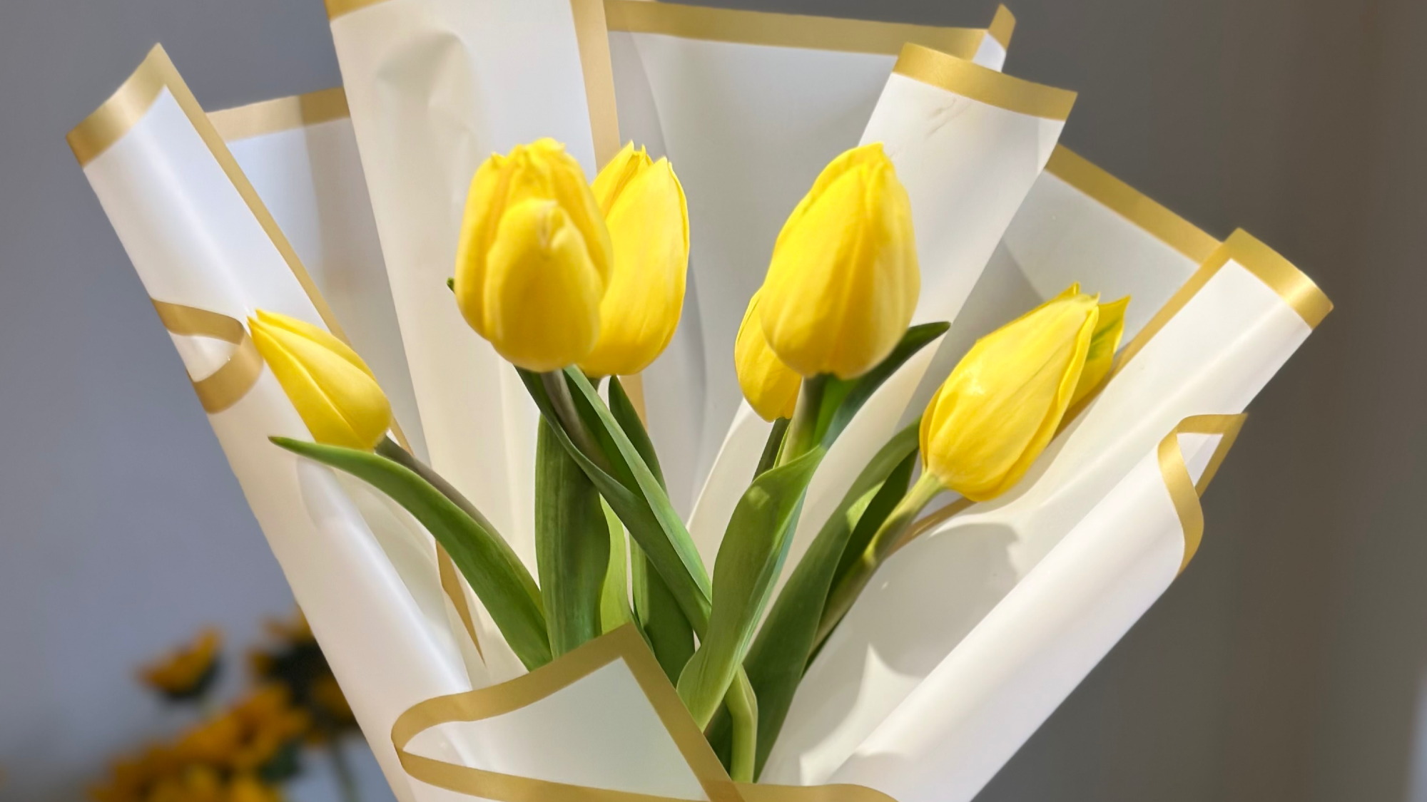Tulipanes