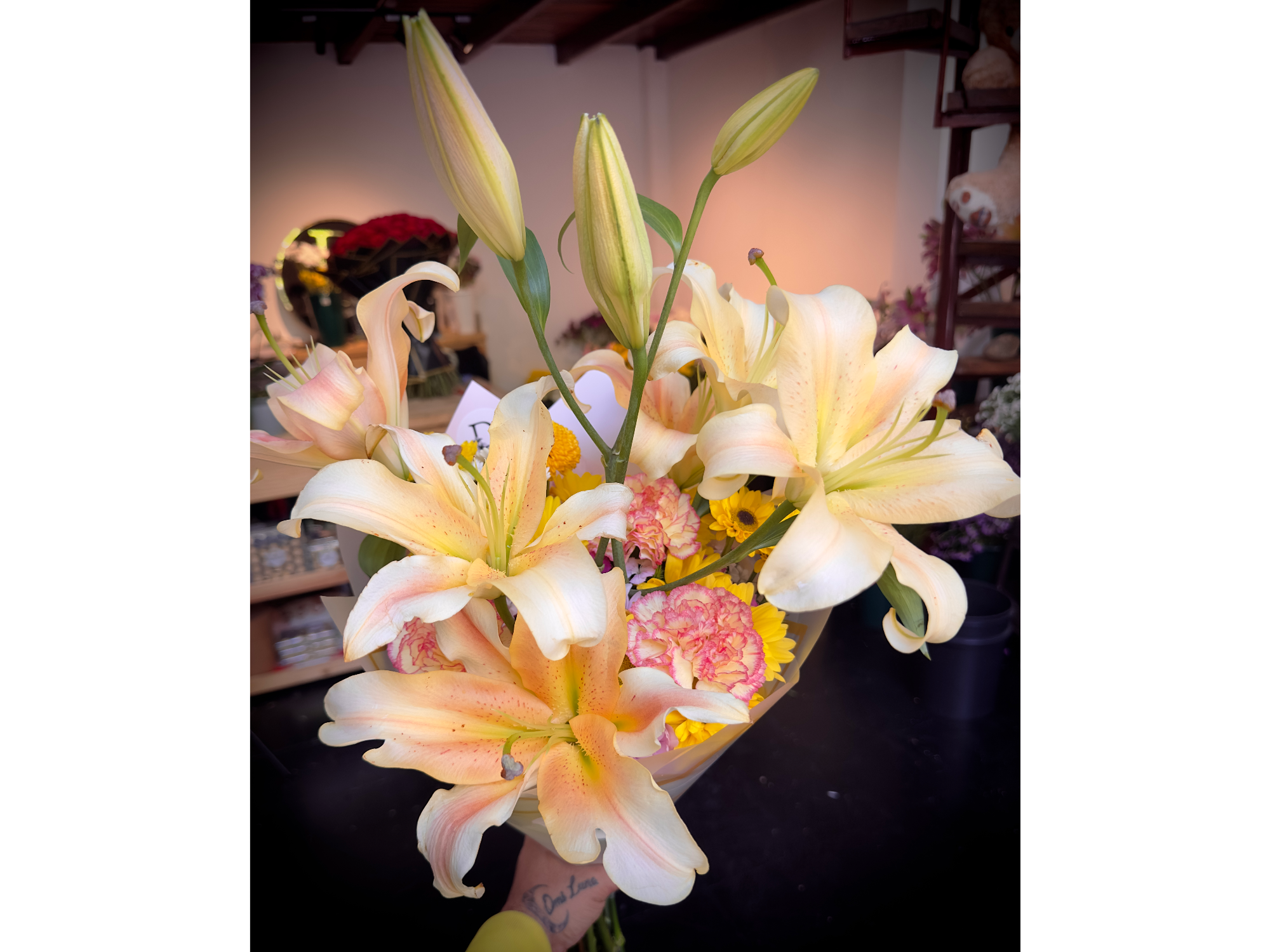 Dalia Express - Lilium (melón )