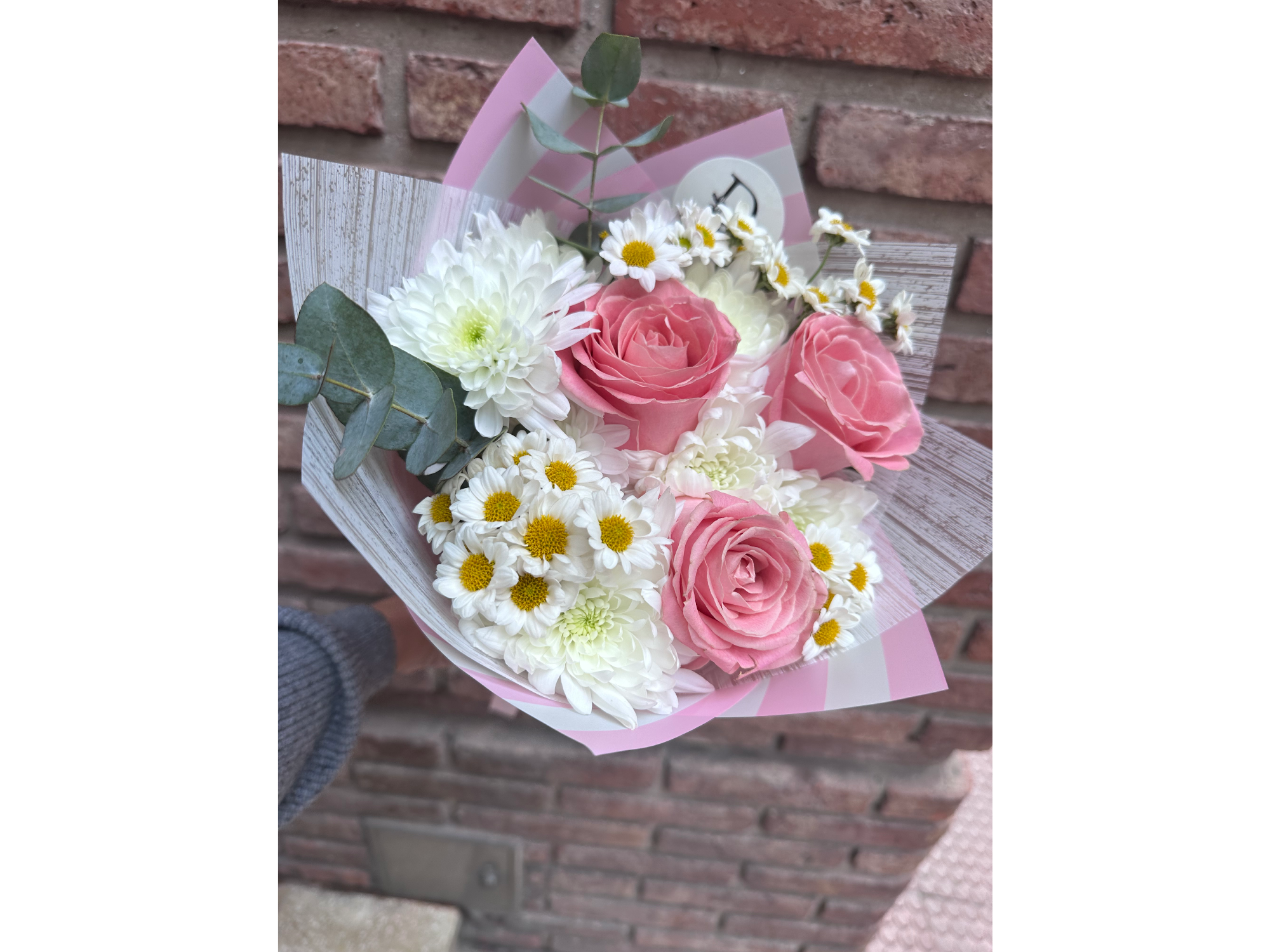 Amor de primavera rosa