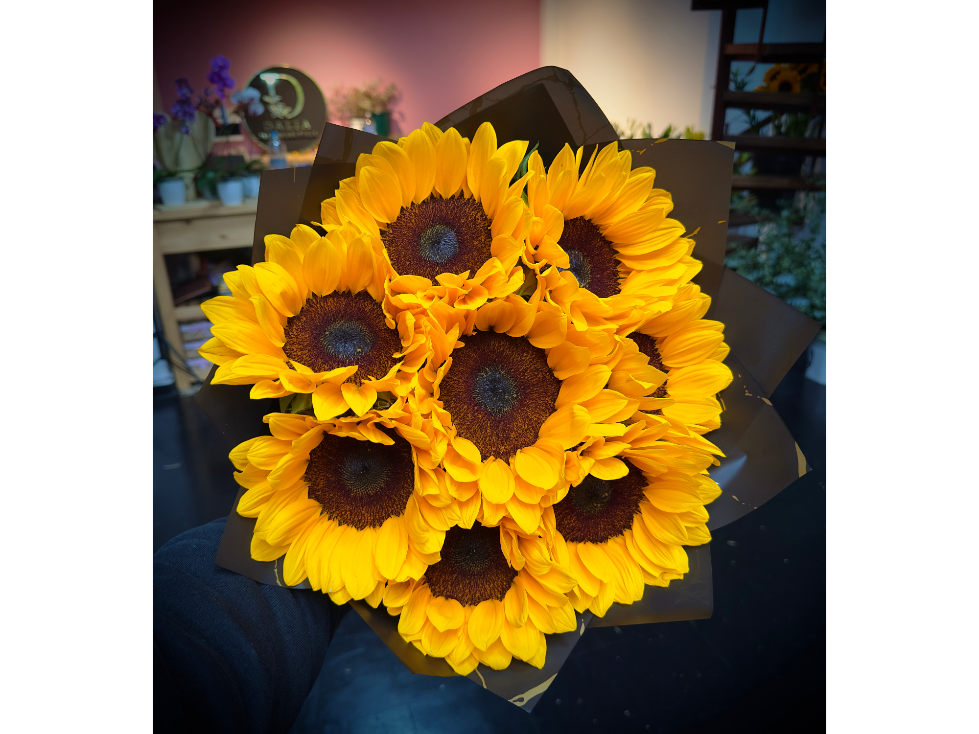 Dalia Express - 8 Girasoles 🌻