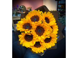 Dalia Express - 8 Girasoles 🌻