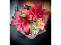 Dalia Express - Lilium (Rojo)