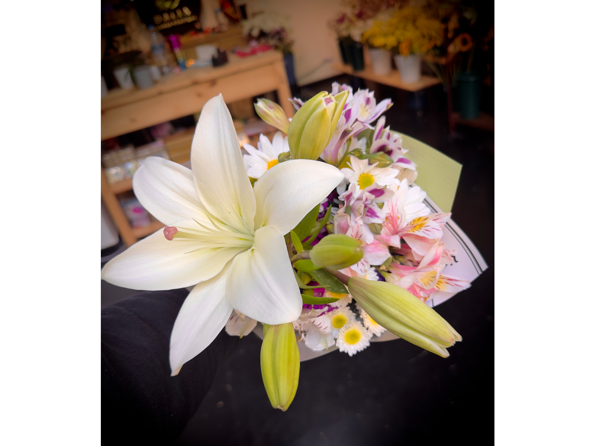 Dalia Express - Lilium (Blanco)