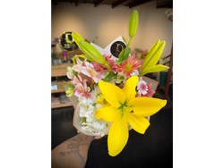 Dalia Express - Lilium (Amarillo)