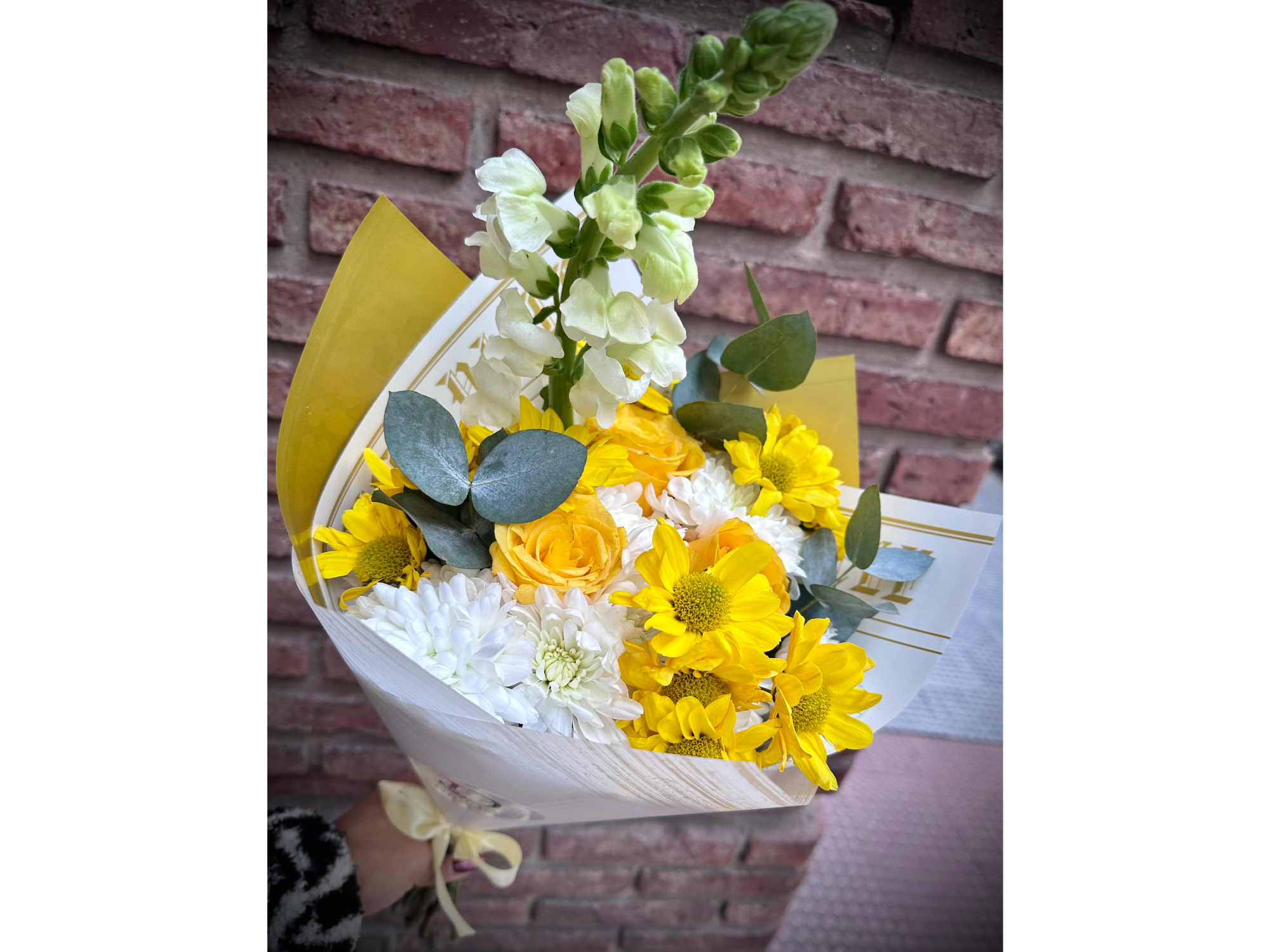 Alegría Floral 💐