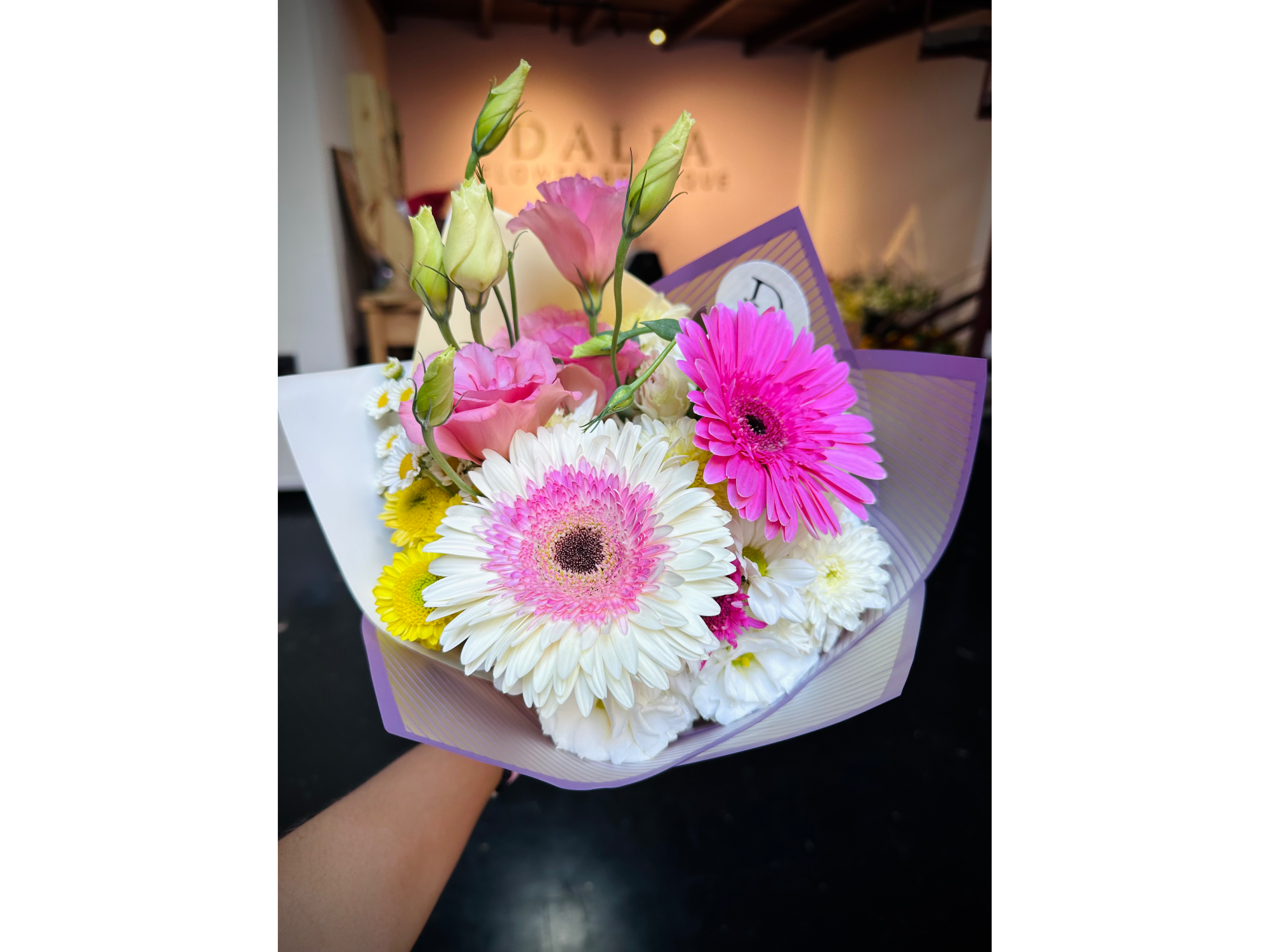 Mini brisa de primavera