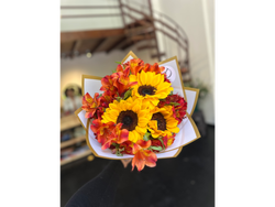 Dalia Express - Girasoles y Astromelias