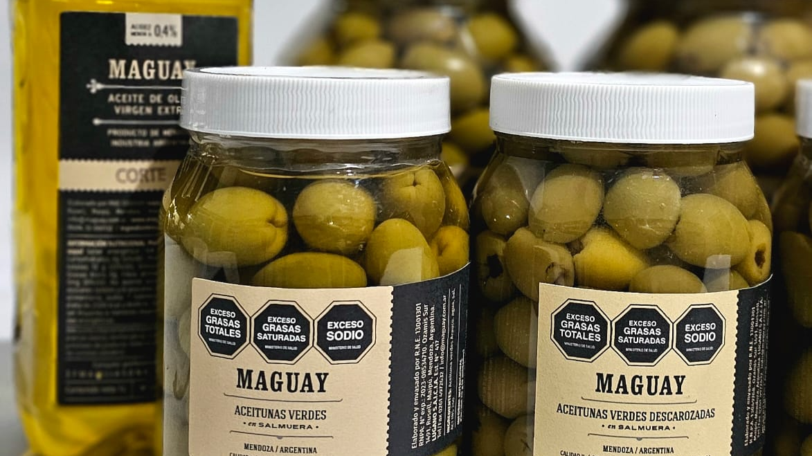 ACEITE DE OLIVA Y ACEITUNAS