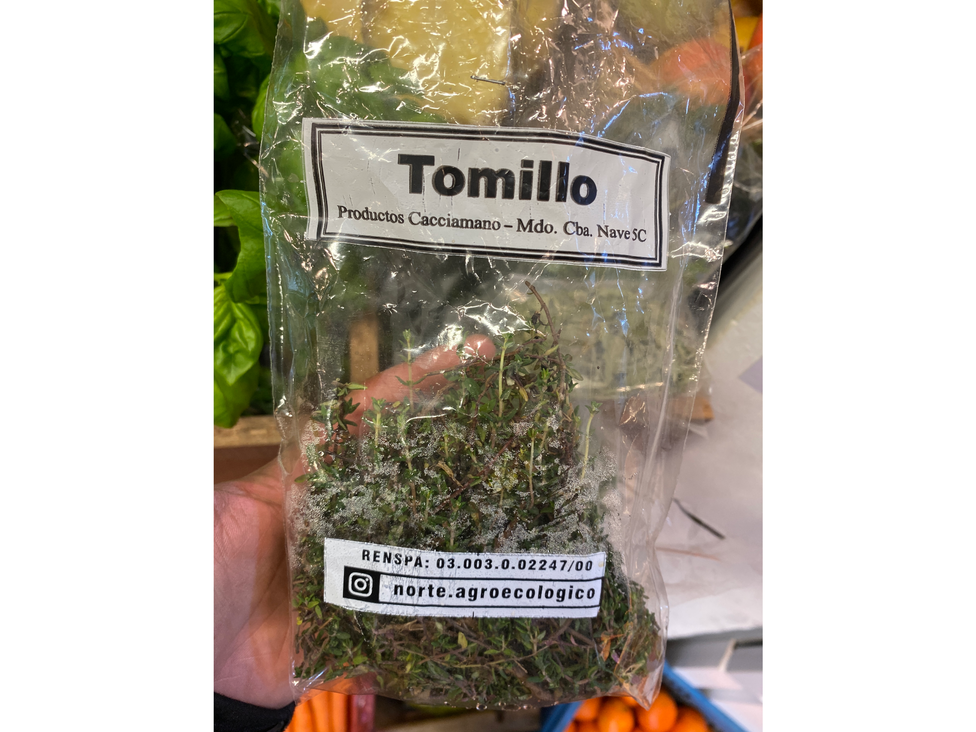 Tomillo