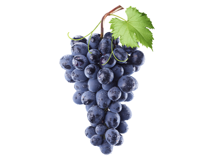 Uva Negra 🇨🇱