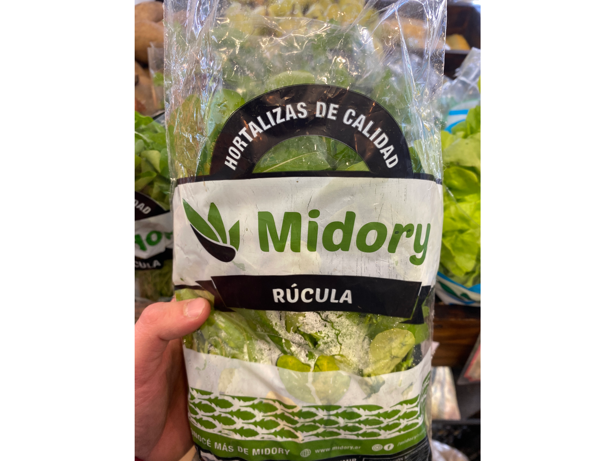 Rucula Hidro