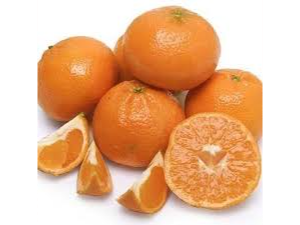 Mandarina Furrer