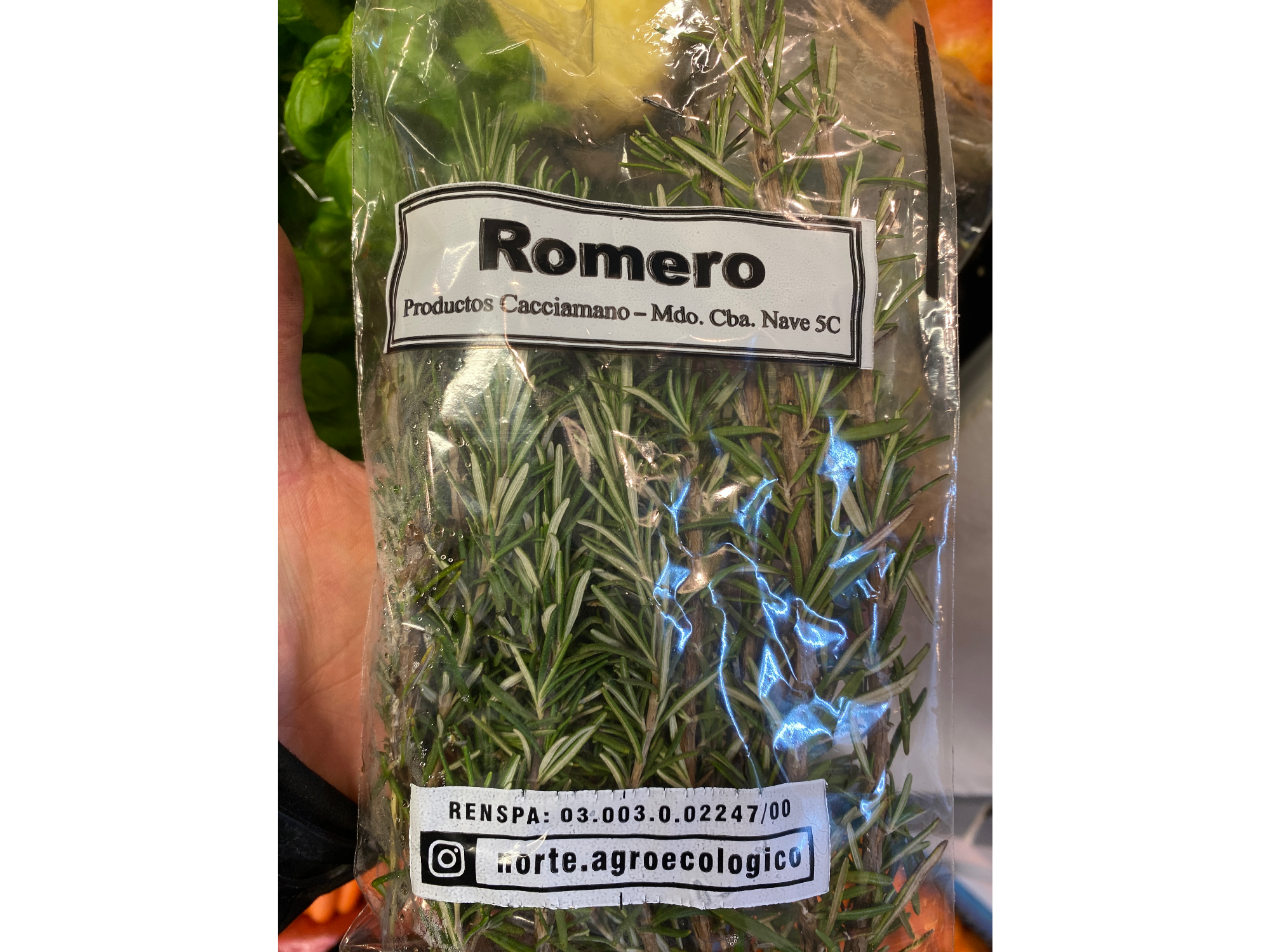Romero