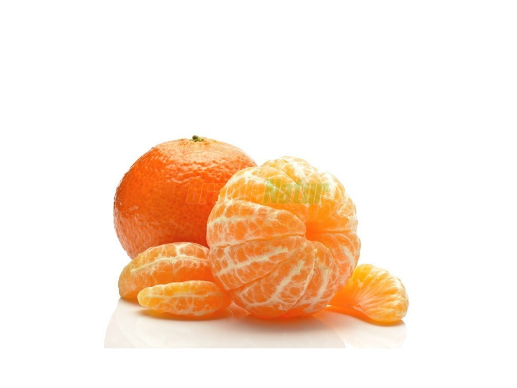 Mandarina Nova