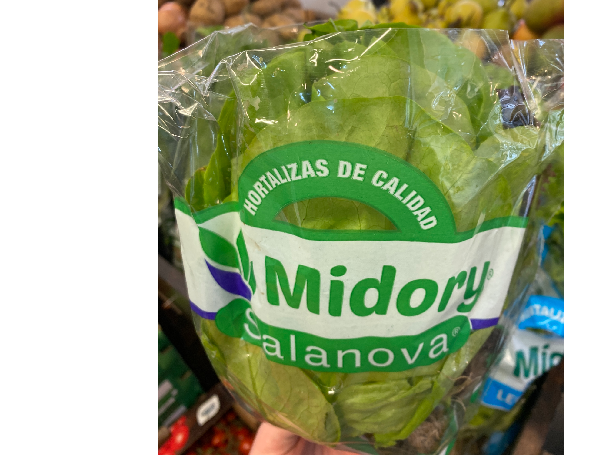 Salanova