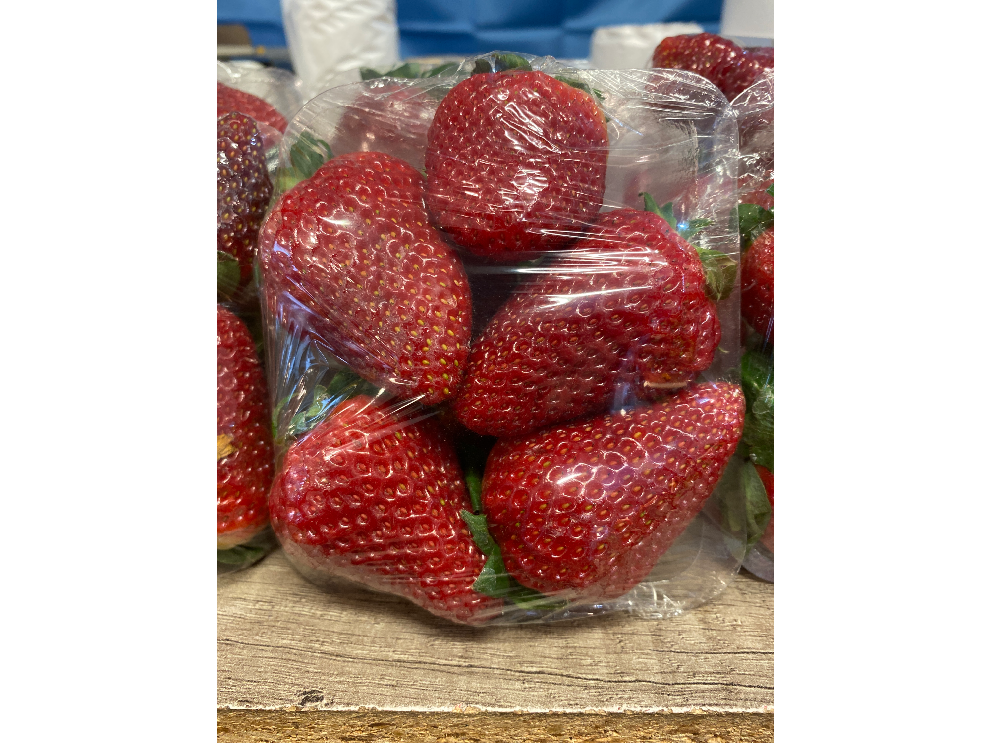 Frutilla cubeta