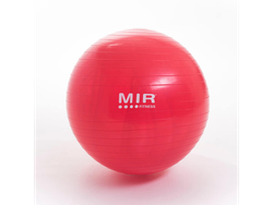 PELOTA ESFERODINAMIA MIR DE 55 CM.