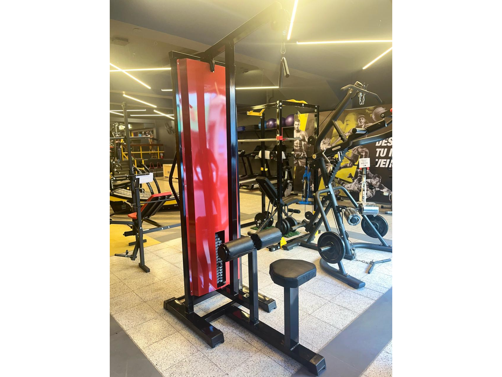 Polea Dorsal y Simple combinada con 80kg en lingotes de Fundición