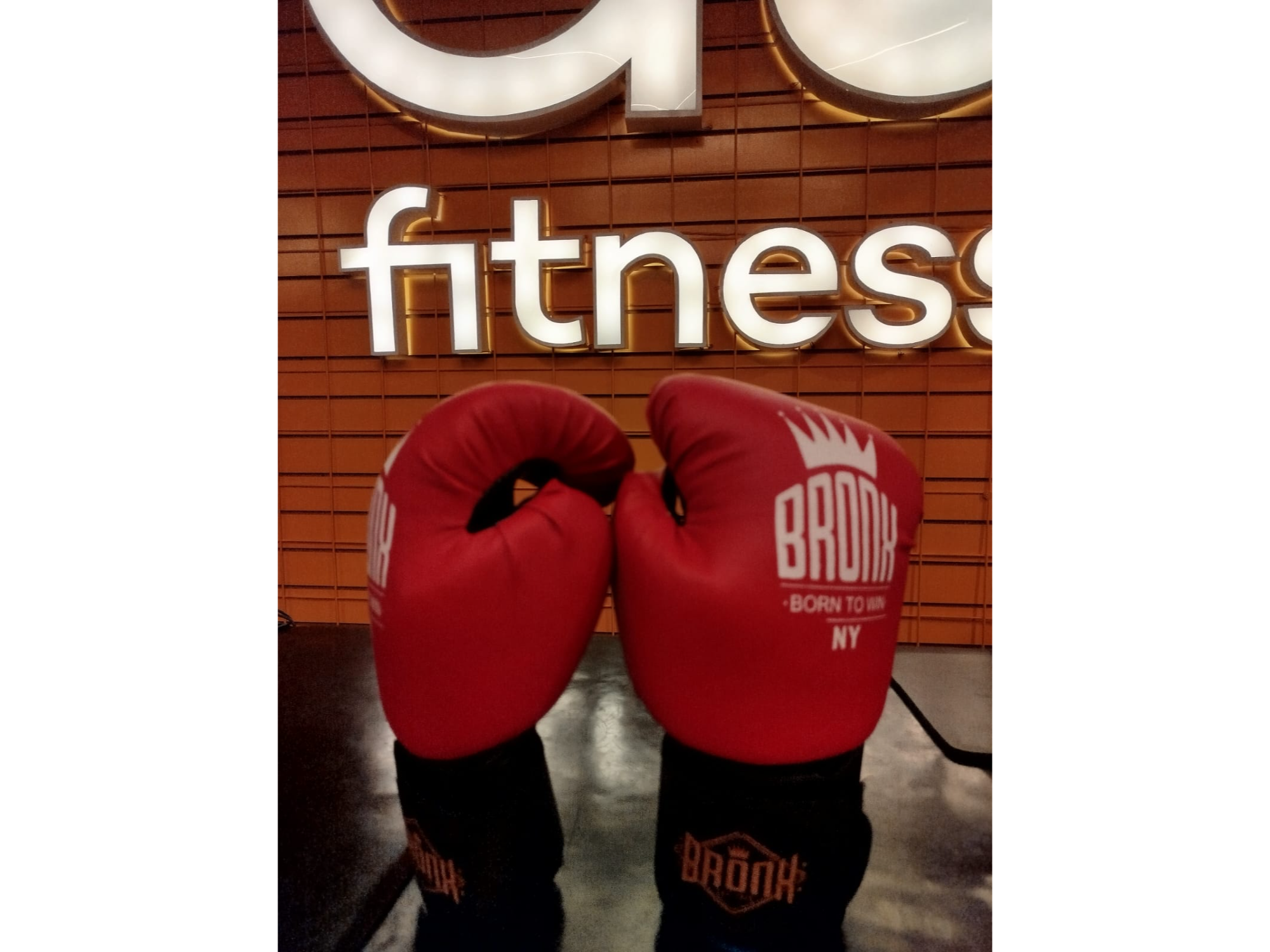 GUANTES DE BOXEO/ KICK BOXING BRONX CLASSIC