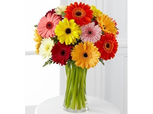 10 Gerberas