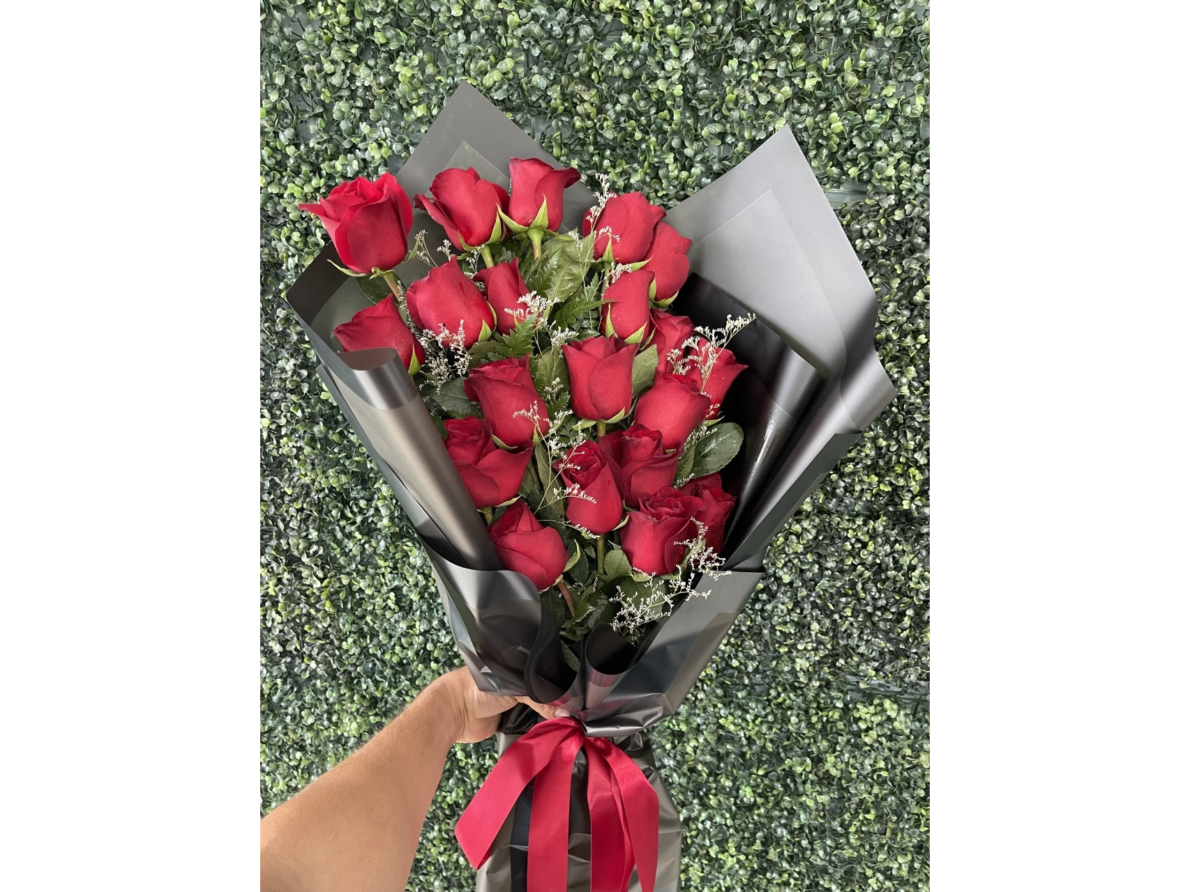 24 Rosas