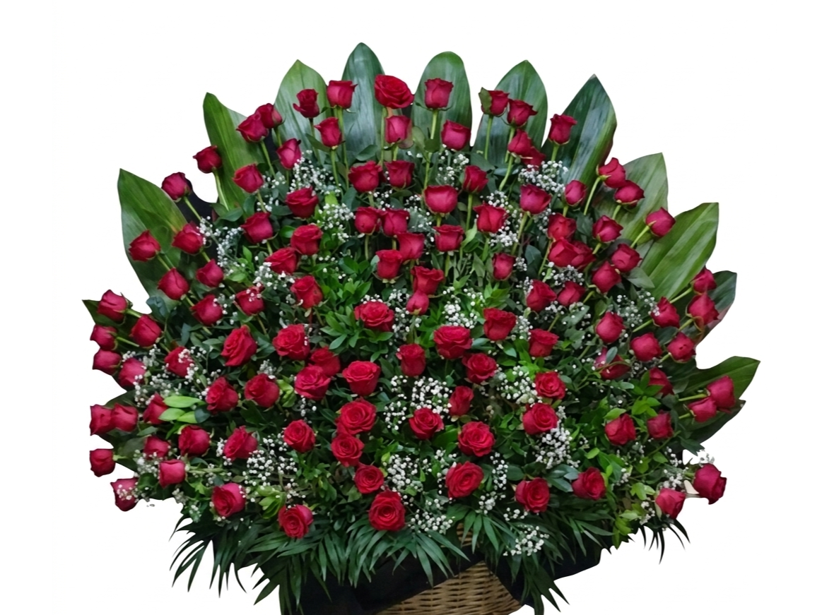 100 Rosas