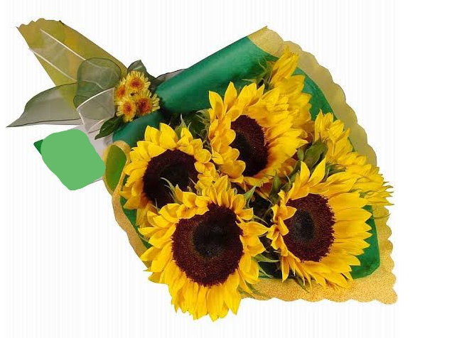 Bouquet de 5 girasoles