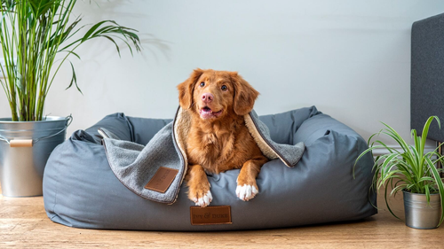 CAMAS Y TAPETES REFRESCANTES