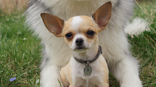 PROMOCIONES MARZO-ABRIL