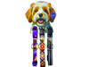 PAQUETE COLLARES PARA CACHORRO 3 PZAS.