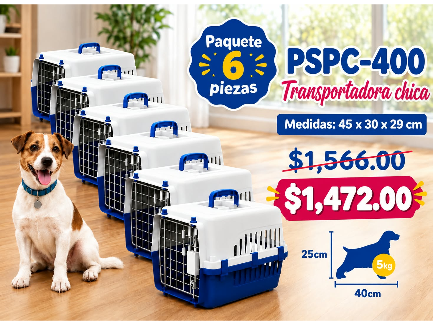 PAQUETE 6 TRANSPORTADORAS MINI ECONOMICAS