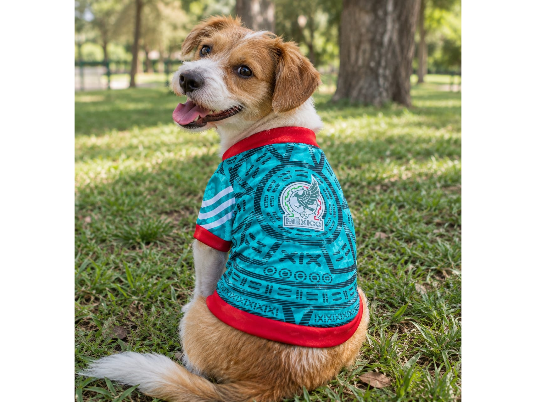 PLAYERA JERSEY SELECCIÓN