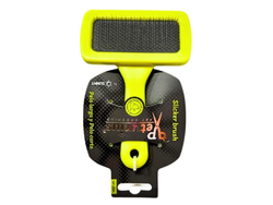 CARDA RFORZADA CH PETUNIUS BY SUNNY