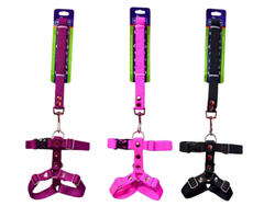 BON055 CORREA CON PECHERA DE NYLON Y HERRAJE REFORZADO 3/4"