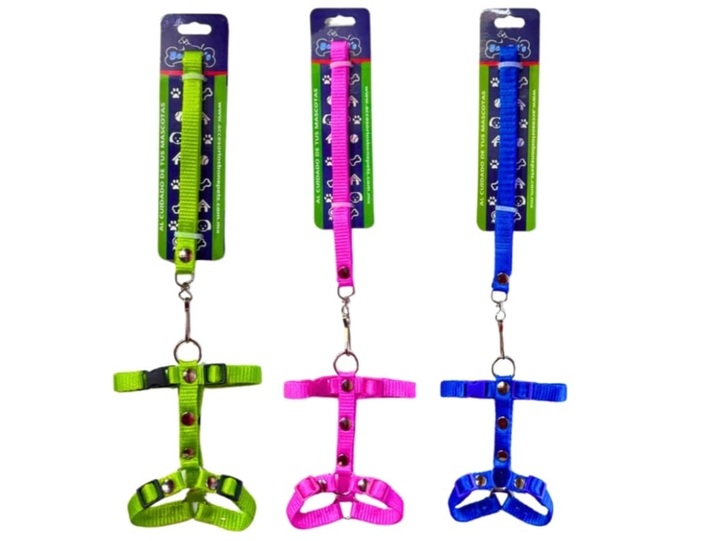 BON050 CORREA CON PECHERA 1/2 CINTA LISA