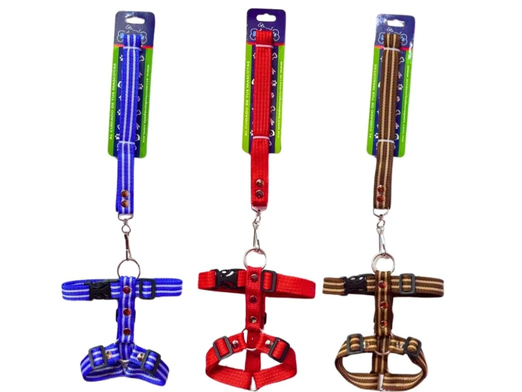 BON052 CORREA CON PECHERA 3/4" CINTA LISA