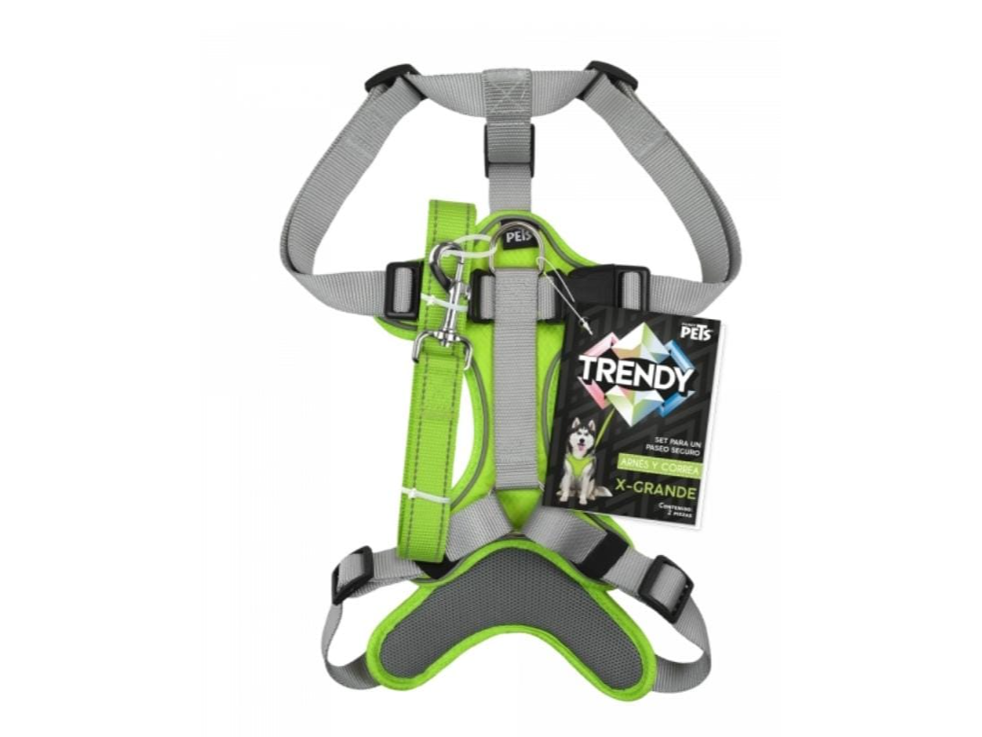 SET ARNES Y CORREA TRENDY XGRANDE