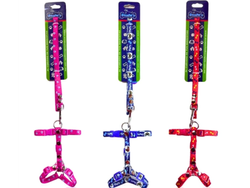 BON053 CORREA CON PECHERA 1/2 CINTA IMPOTADA COLORES