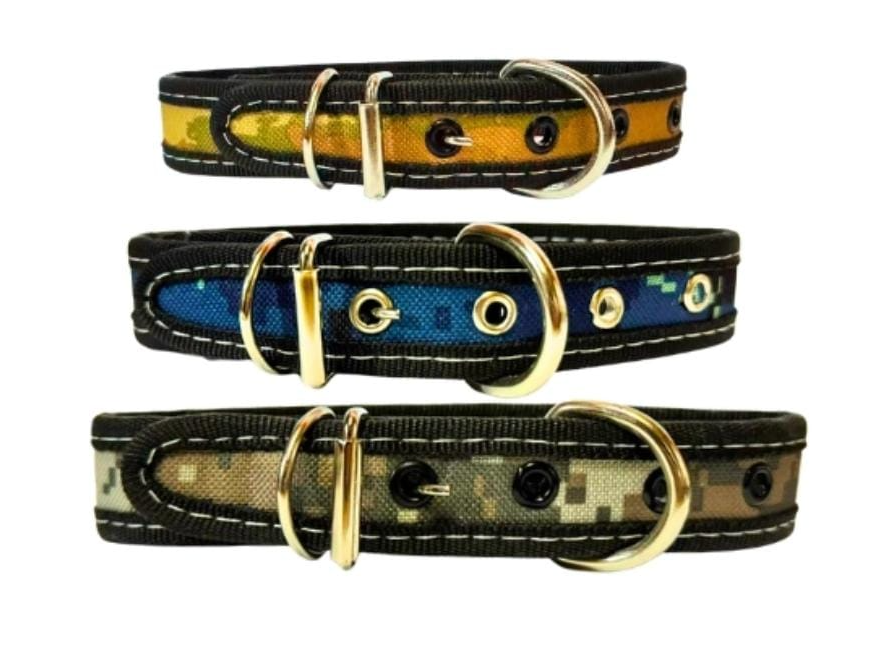 COLLAR PERRO NYLON COLORES