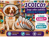 JUEGO DE COLLAR ISABELINO DE CONTACTEL 7 TALLAS