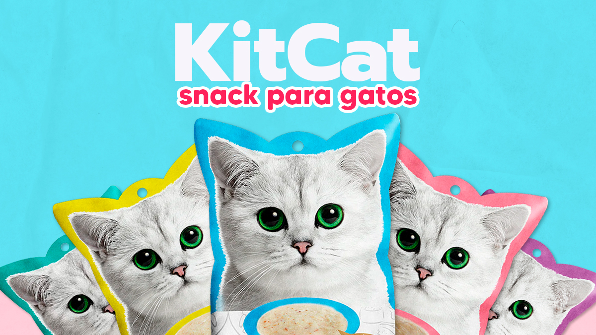 Snack Gatos
