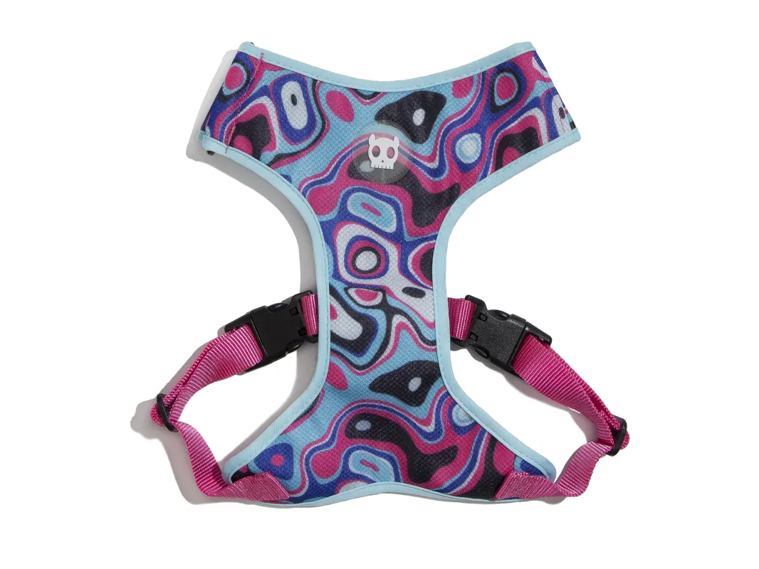 Zeedog Blast adjustable air mesh small