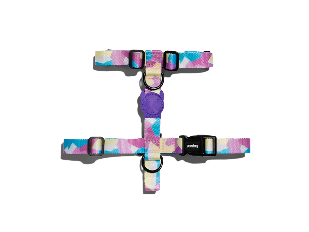 Arnes H candy L – Zeedog