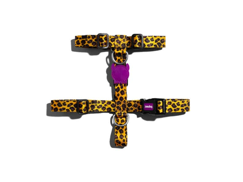 Zeedog H-Harness Oh Honey S